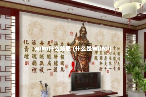 wdm什么意思 (什么是WDM?)