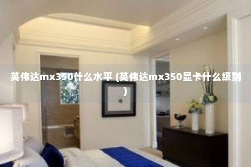 英伟达mx350什么水平 (英伟达mx350显卡什么级别)