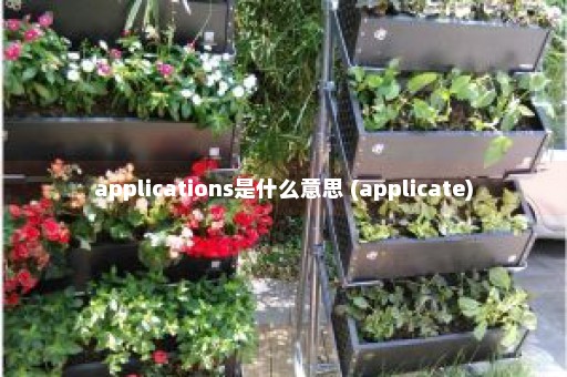 applications是什么意思 (applicate)