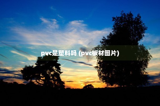 pvc是塑料吗 (pvc板材图片)