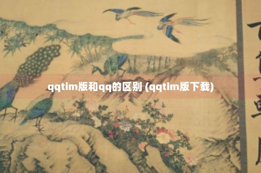 qqtim版和qq的区别 (qqtim版下载)