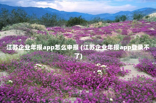 江苏企业年报app怎么申报 (江苏企业年报app登录不了)