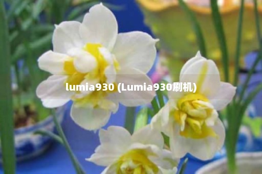 lumia930 (Lumia930刷机)