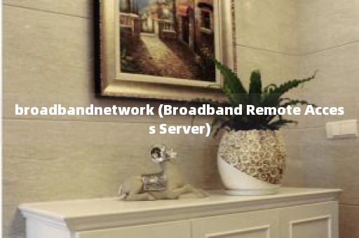 broadbandnetwork (Broadband Remote Access Server)