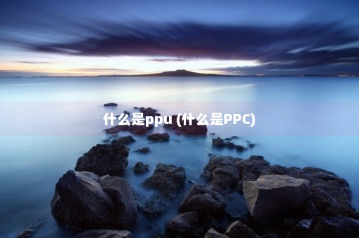 什么是ppu (什么是PPC)