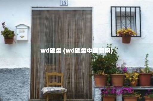 wd硬盘 (wd硬盘中国官网)