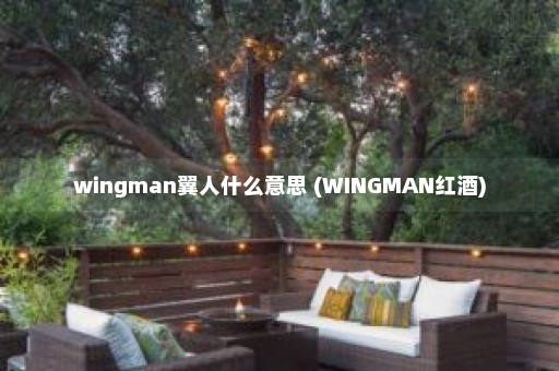 wingman翼人什么意思 (WINGMAN红酒)