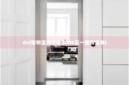 dnf宠物宝珠大全 (DNF五一宠物宝珠)