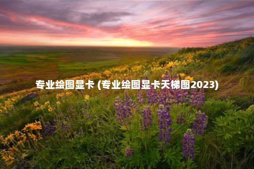 专业绘图显卡 (专业绘图显卡天梯图2023)