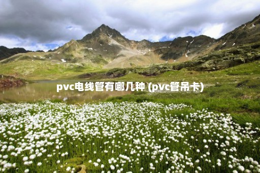 pvc电线管有哪几种 (pvc管吊卡)