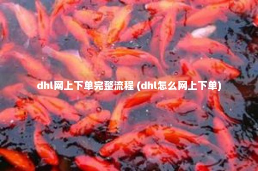 dhl网上下单完整流程 (dhl怎么网上下单)