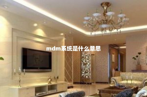 mdm系统是什么意思