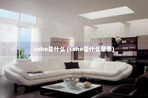 soho是什么 (soho是什么意思)