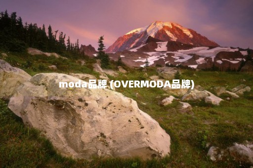 moda品牌 (OVERMODA品牌)