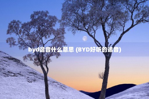 byd谐音什么意思 (BYD好听的谐音)