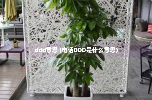 ddd意思 (电话DDD是什么意思)