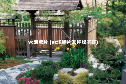 vc泡腾片 (vc泡腾片哪种牌子好)