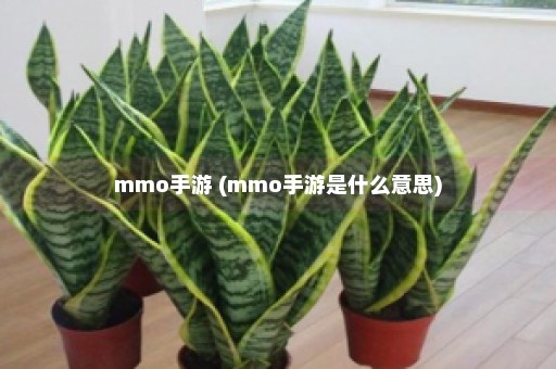 mmo手游 (mmo手游是什么意思)