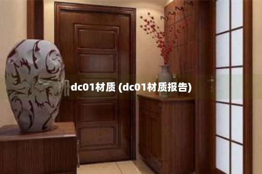 dc01材质 (dc01材质报告)