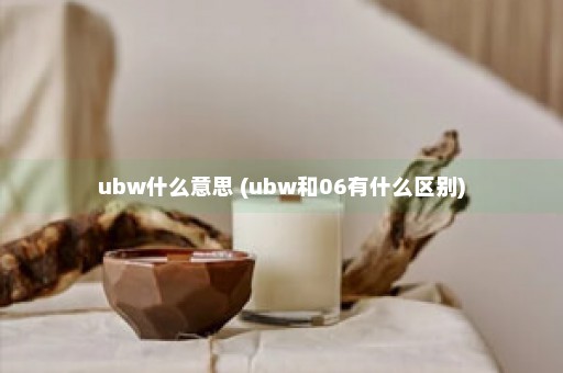 ubw什么意思 (ubw和06有什么区别)