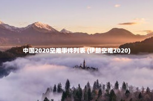 中国2020空难事件列表 (伊朗空难2020)