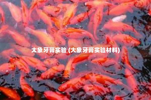 大象牙膏实验 (大象牙膏实验材料)