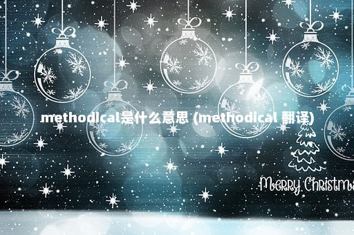 methodical是什么意思 (methodical 翻译)