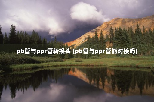 pb管与ppr管转换头 (pb管与ppr管能对接吗)