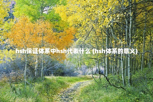 hsh保证体系中hsh代表什么 (hsh体系的意义)