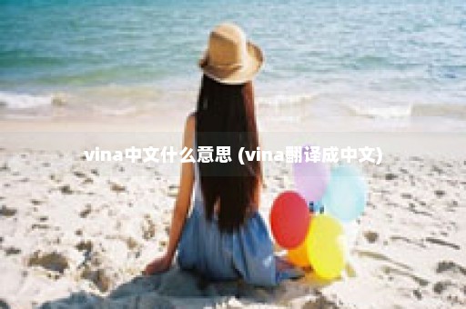 vina中文什么意思 (vina翻译成中文)