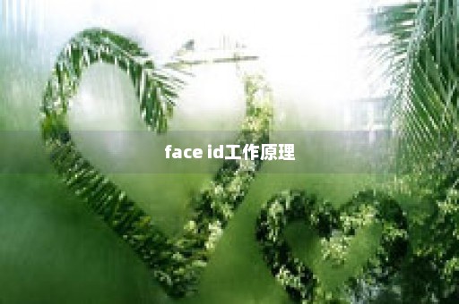 face id工作原理