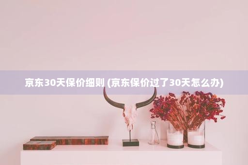 京东30天保价细则 (京东保价过了30天怎么办)