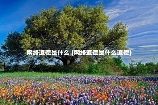 网络道德是什么 (网络道德是什么道德)