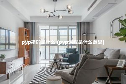 pyp指的是什么 (pyp课程是什么意思)