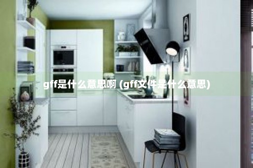 gff是什么意思啊 (gff文件是什么意思)