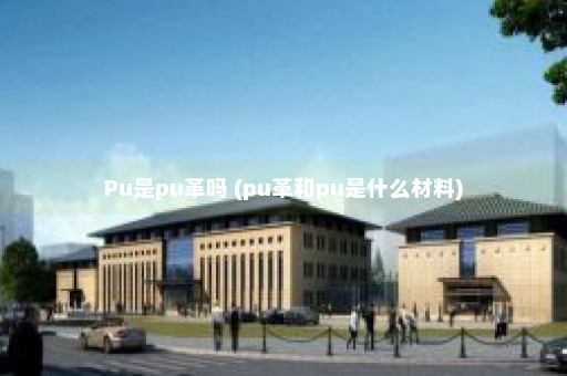 Pu是pu革吗 (pu革和pu是什么材料)