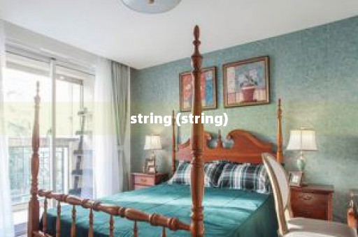 string (string)