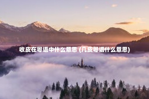 收皮在粤语中什么意思 (几皮粤语什么意思)