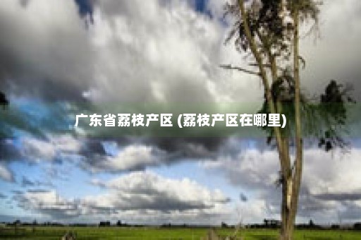 广东省荔枝产区 (荔枝产区在哪里)