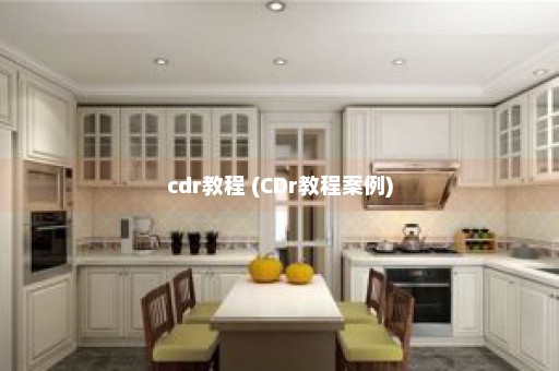 cdr教程 (CDr教程案例)