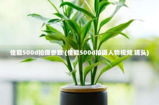 佳能500d拍摄参数 (佳能500d拍摄人物视频 镜头)