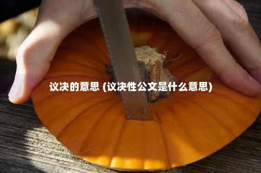 议决的意思 (议决性公文是什么意思)