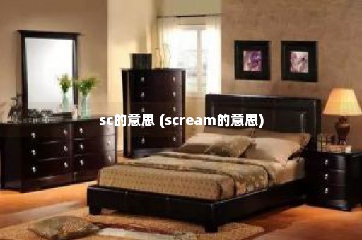 sc的意思 (scream的意思)