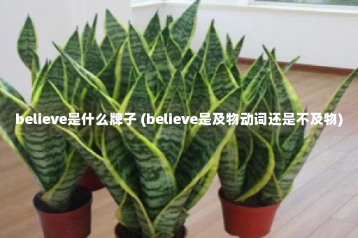 believe是什么牌子 (believe是及物动词还是不及物)