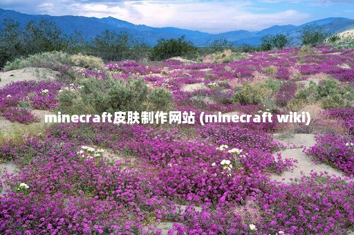 minecraft皮肤制作网站 (minecraft wiki)