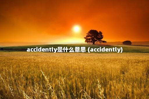 accidently是什么意思 (accidently)