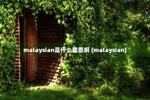 malaysian是什么意思啊 (malaysian)