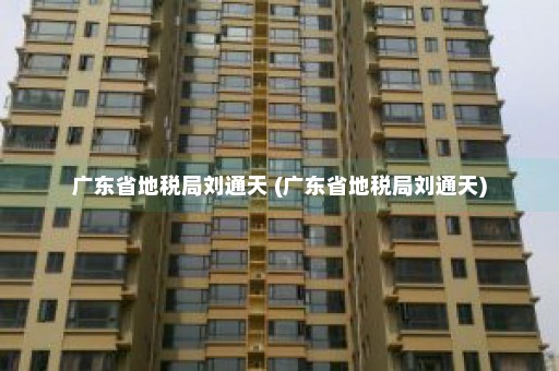 广东省地税局刘通天 (广东省地税局刘通天)