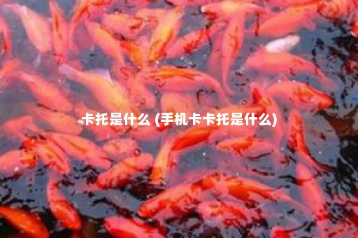 卡托是什么 (手机卡卡托是什么)