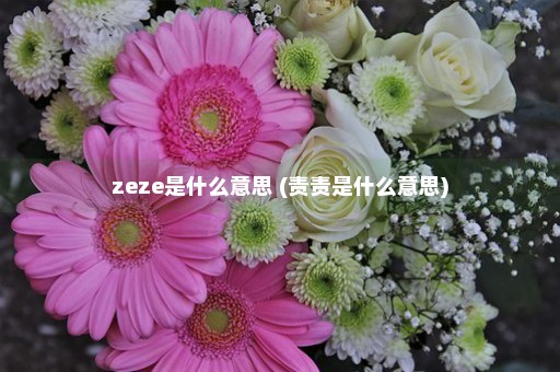 zeze是什么意思 (责责是什么意思)